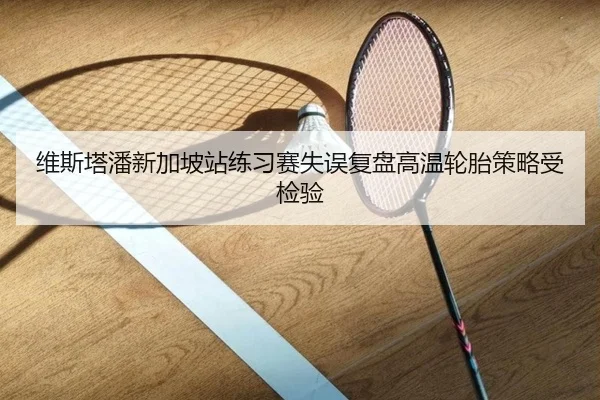 维斯塔潘新加坡站练习赛失误复盘高温轮胎策略受检验